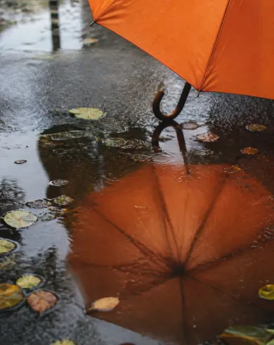 自然光類比攝影／實體佈景作品，橘色雨傘與水窪倒影相接，看起來像濕地上綻放的花。直幅構圖保留清楚主體與手作質地。