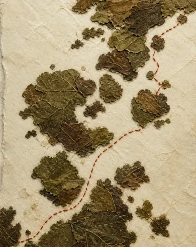 手工紙材拼貼／立體組構作品，乾燥茶葉與苔色紙片構成群島，紅線航路穿過其間。直幅構圖保留清楚主體與手作質地。