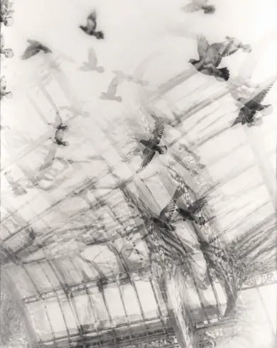 類比暗房實驗／銀鹽相紙作品，描繪車站拱頂與飛行鴿群以三重曝光留下方向感。直式構圖保留清楚主體與真實工藝材質。
